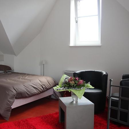 Studio De La Petite Venise Appartement Colmar Buitenkant foto