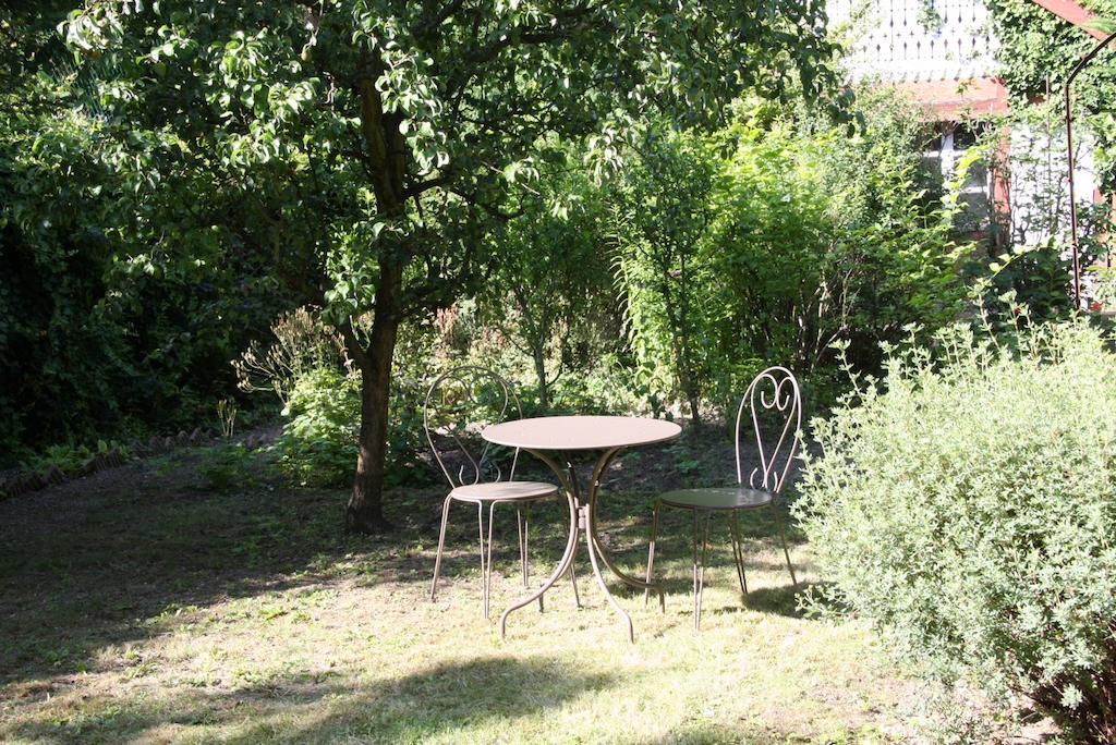 Studio De La Petite Venise Appartement Colmar Buitenkant foto