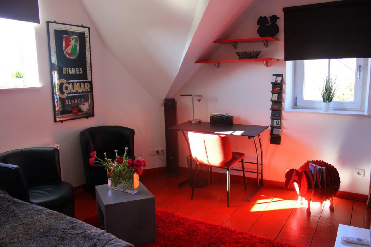 Studio De La Petite Venise Appartement Colmar Buitenkant foto