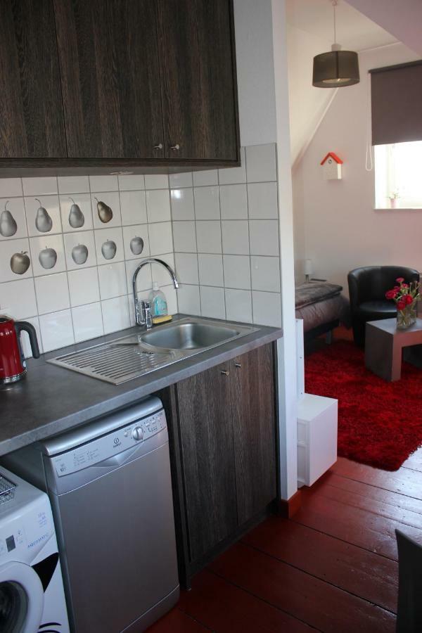 Studio De La Petite Venise Appartement Colmar Buitenkant foto